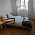 Historical Apartment Santos IV